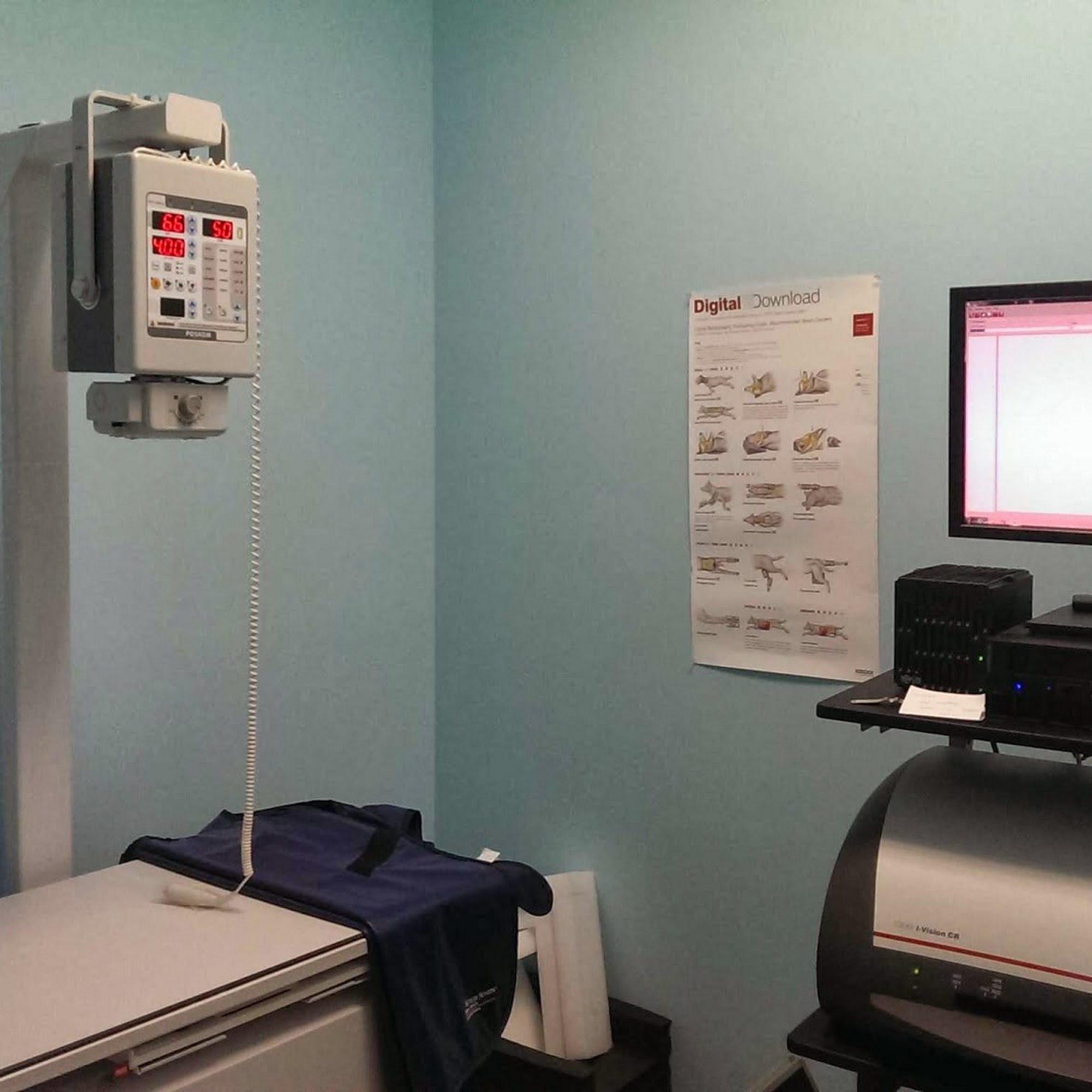 Finn Hill Animal Hospital Kirkland