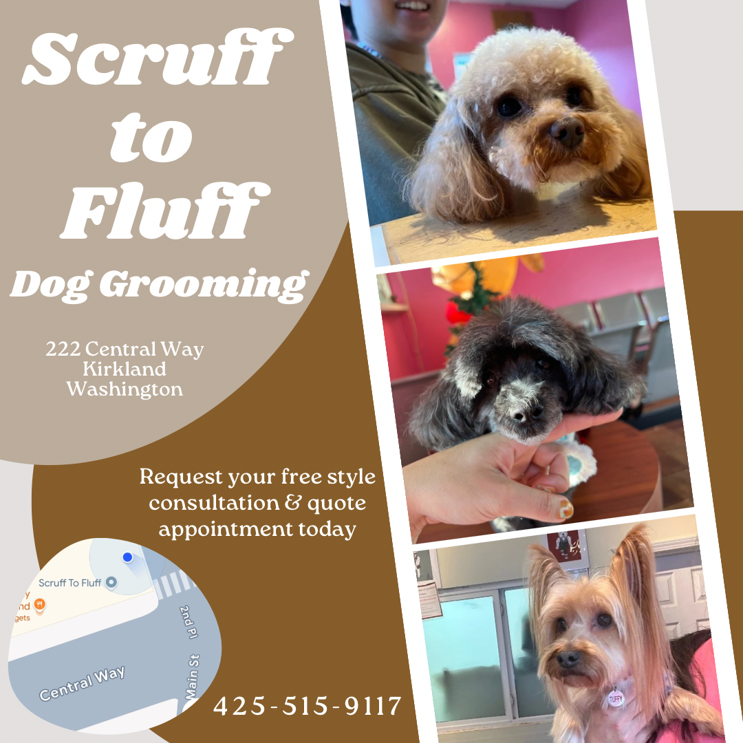 Scruff To Fluff Kirkland