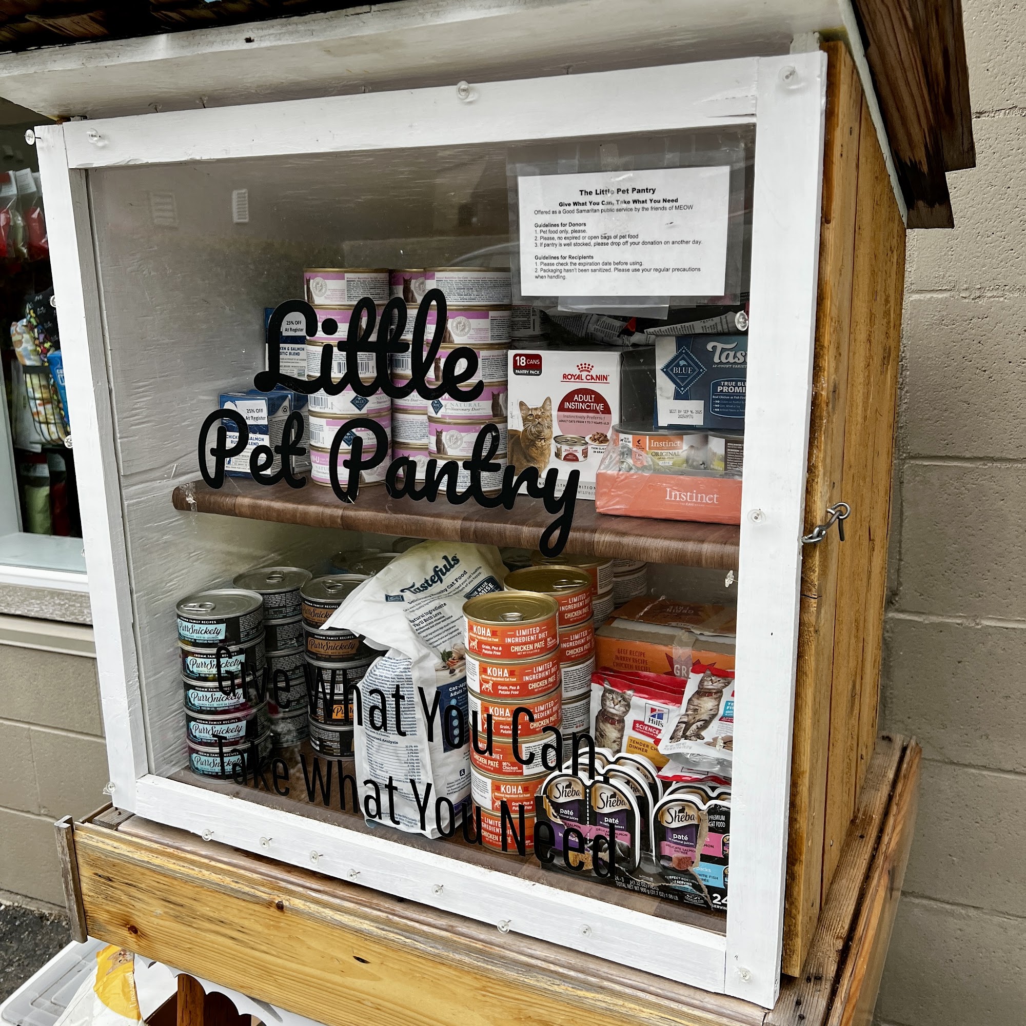 Meow Cat Rescue Kirkland