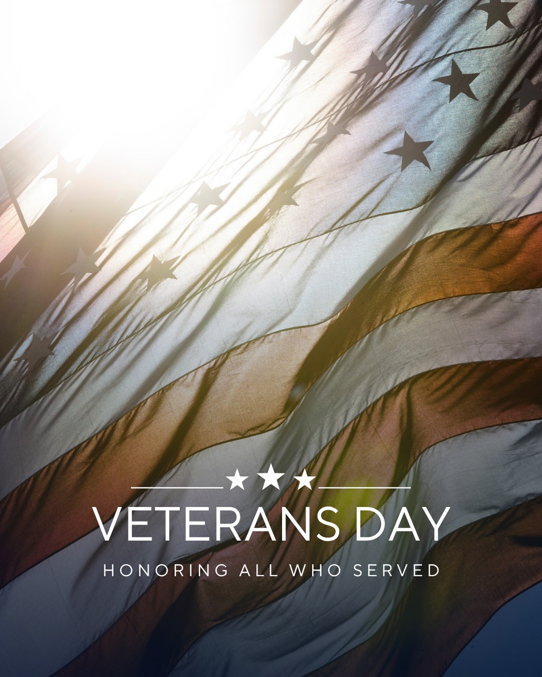 All About Cats Veterinary Hospital Kirkland