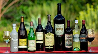 Hellam's Vineyard La Conner