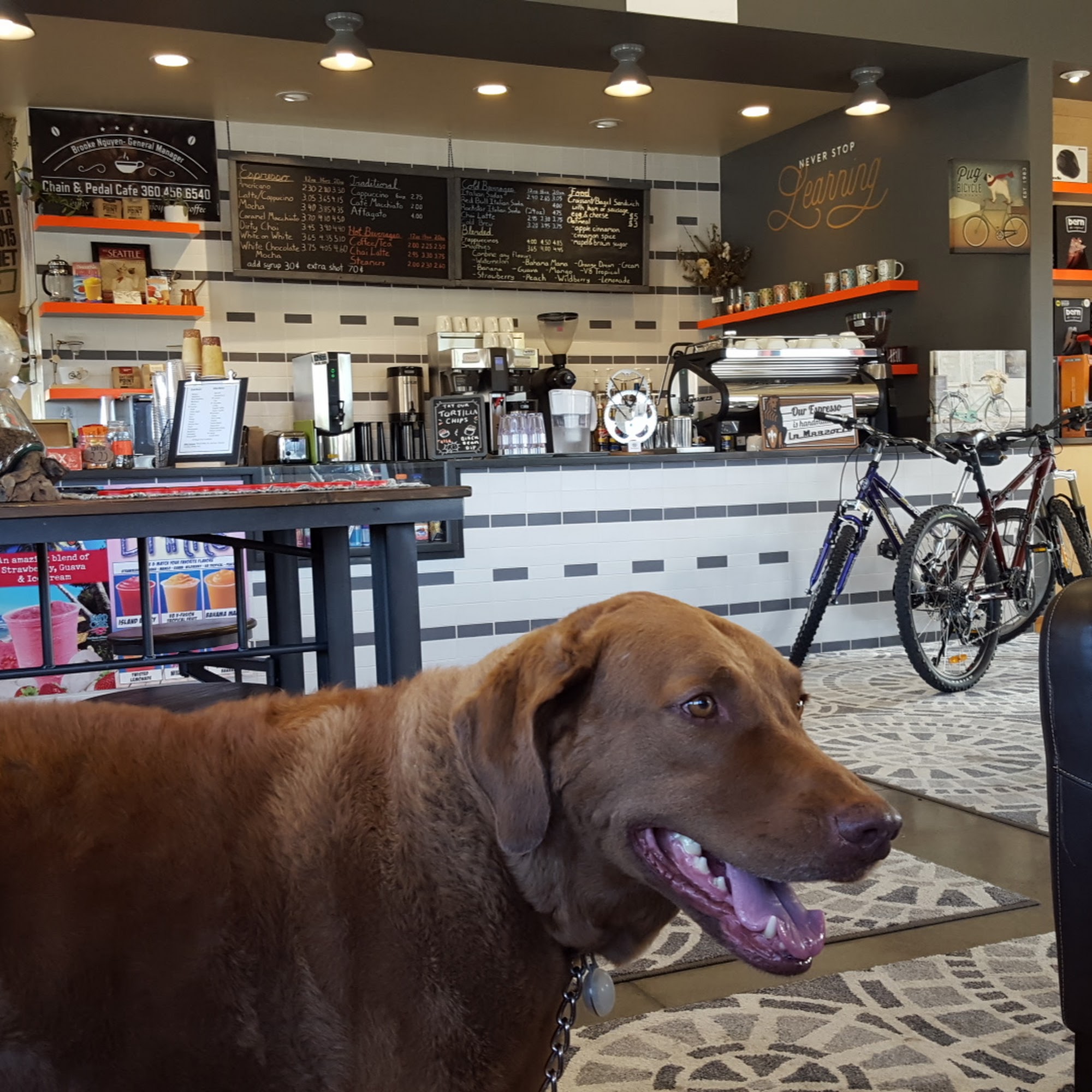 Baby-Boomer Bikes Lacey