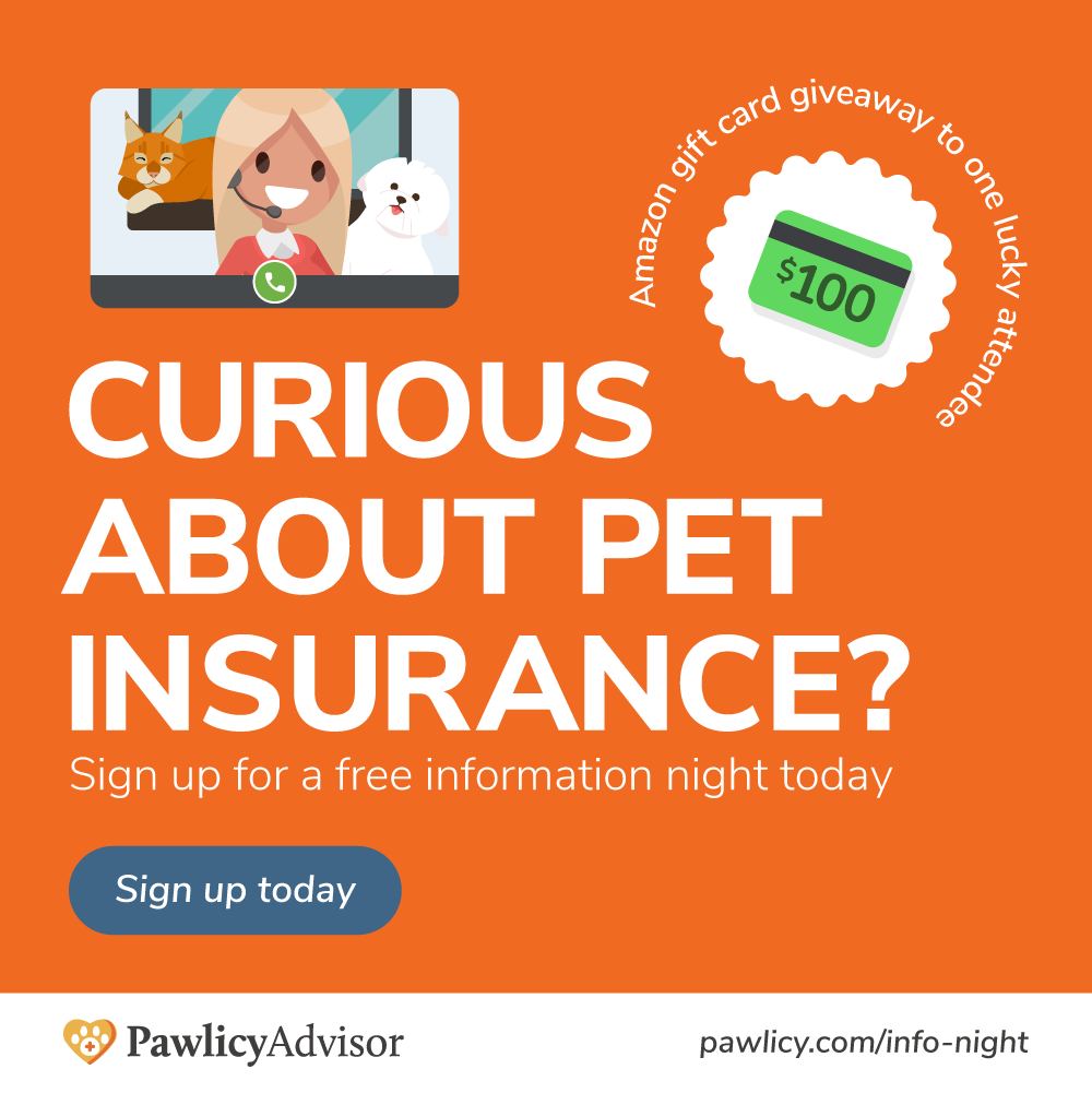 Muhlbacher Barbara DVM Lacey