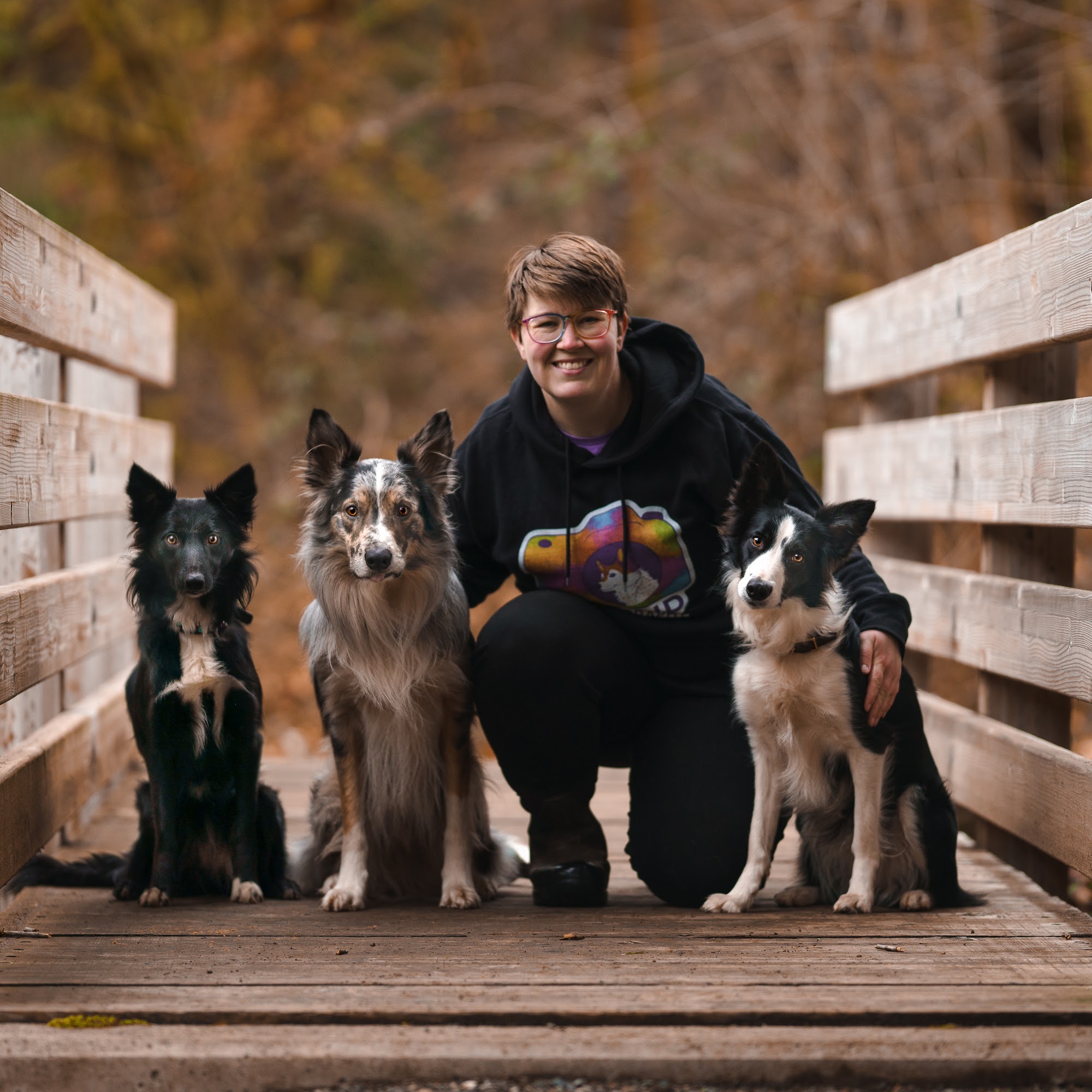 Dog Defined LLC (dog training) Lacey