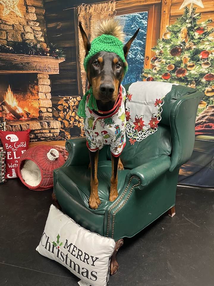 The Canine Resource Center Lake Stevens