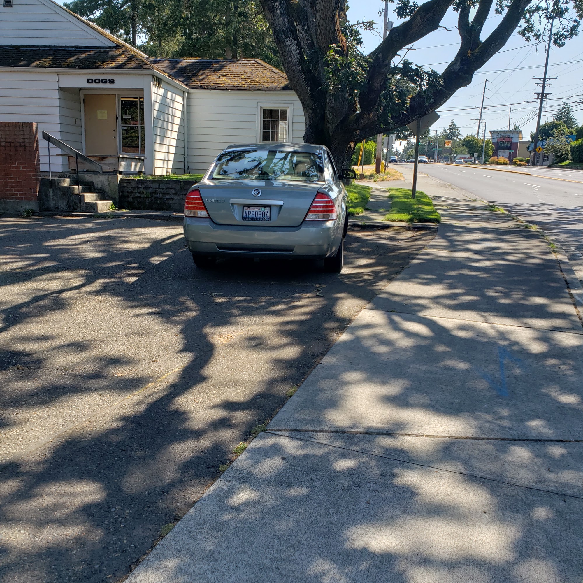 Lakewood Veterinary Hospital Lakewood