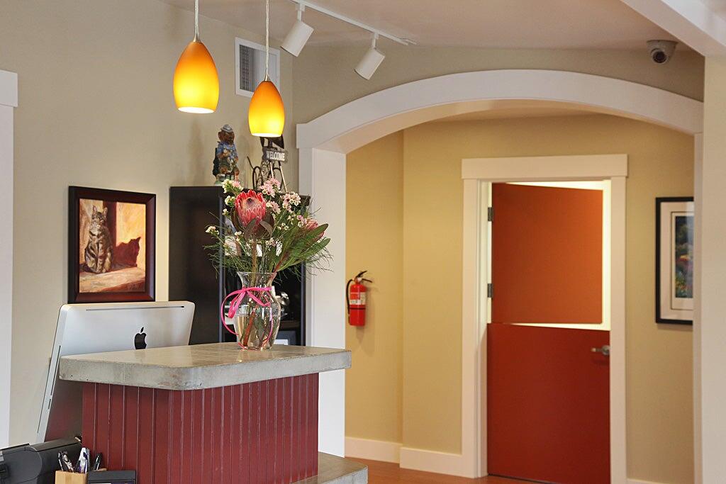Animal Hospital By the Sea Langley