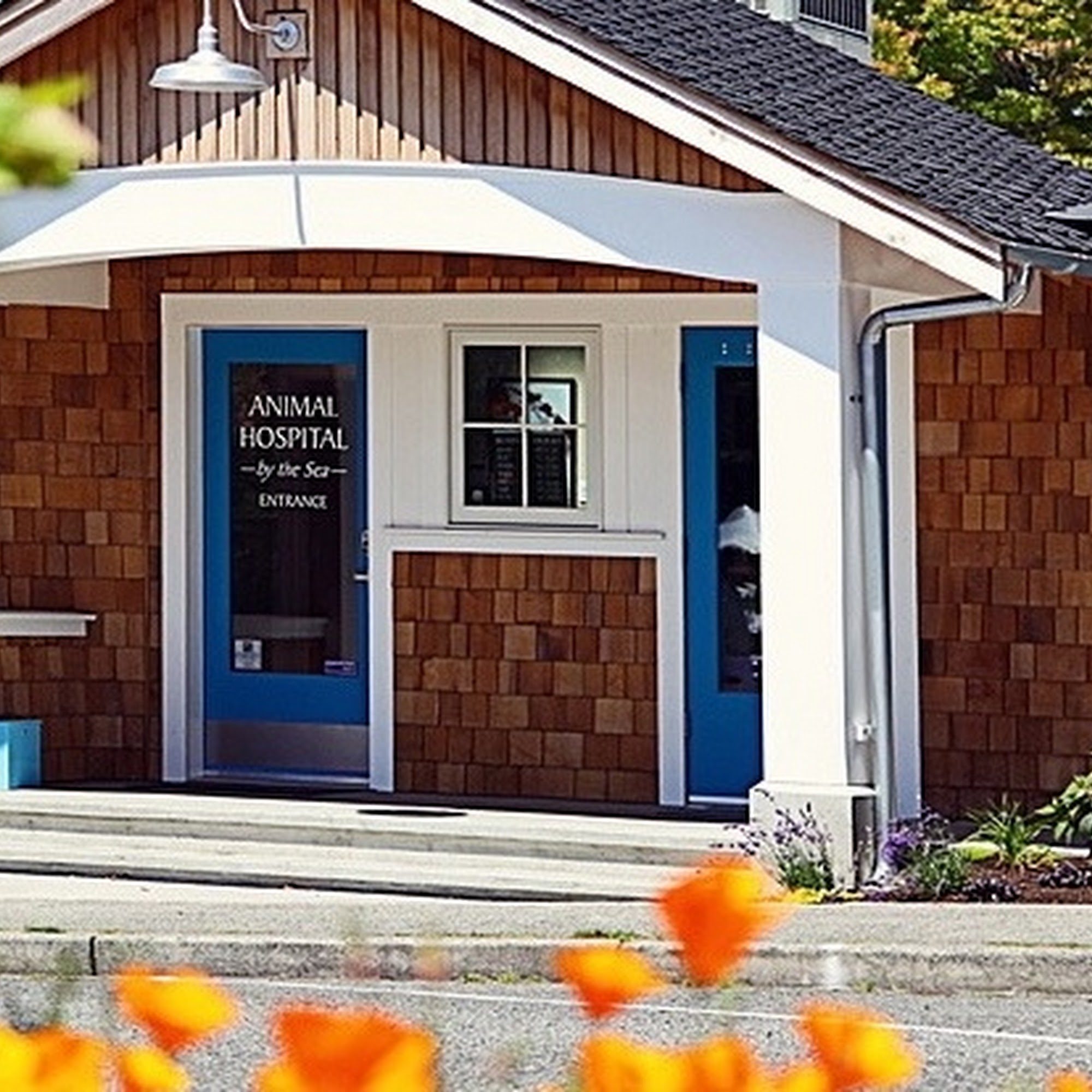 Animal Hospital By the Sea Langley