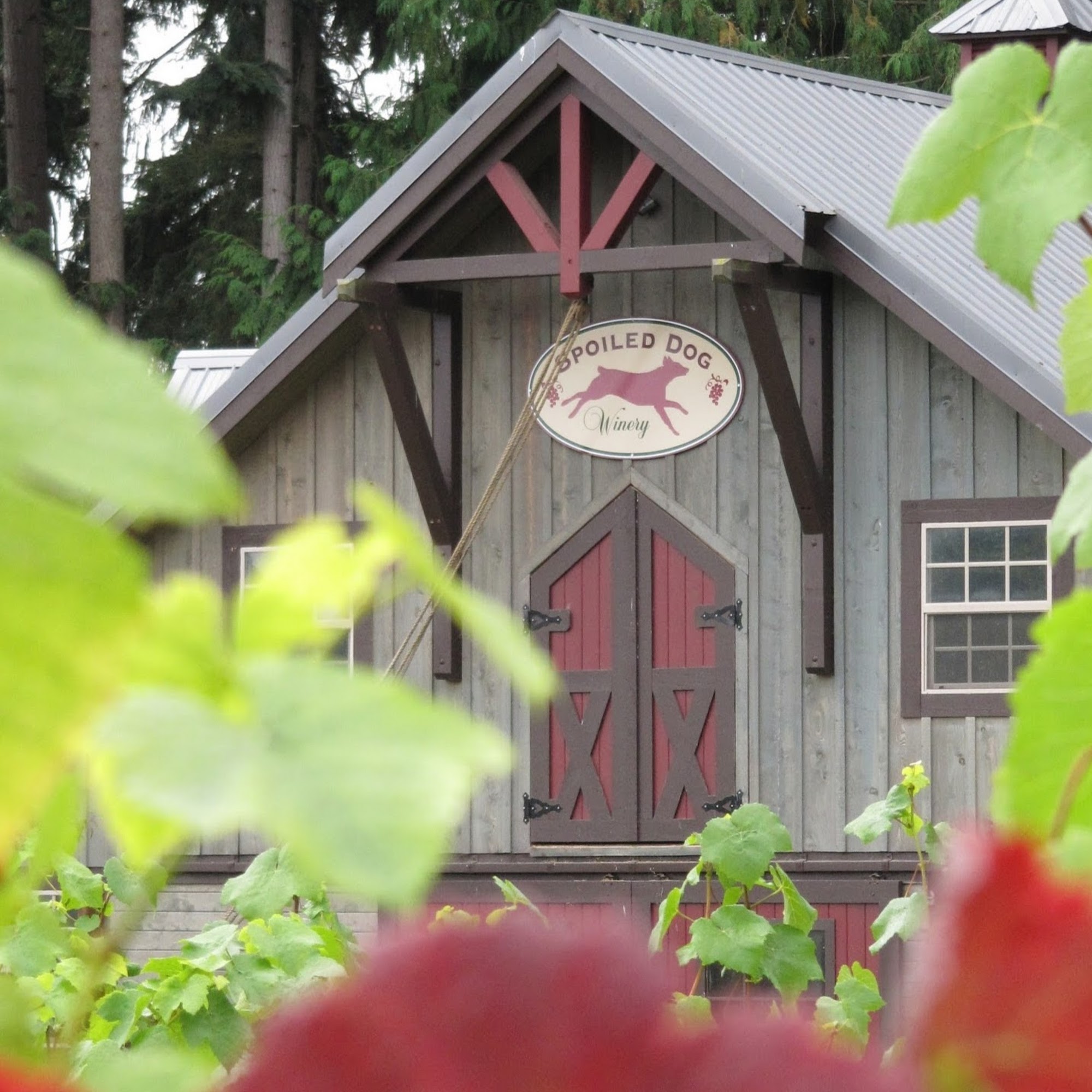 Spoiled Dog Winery Langley