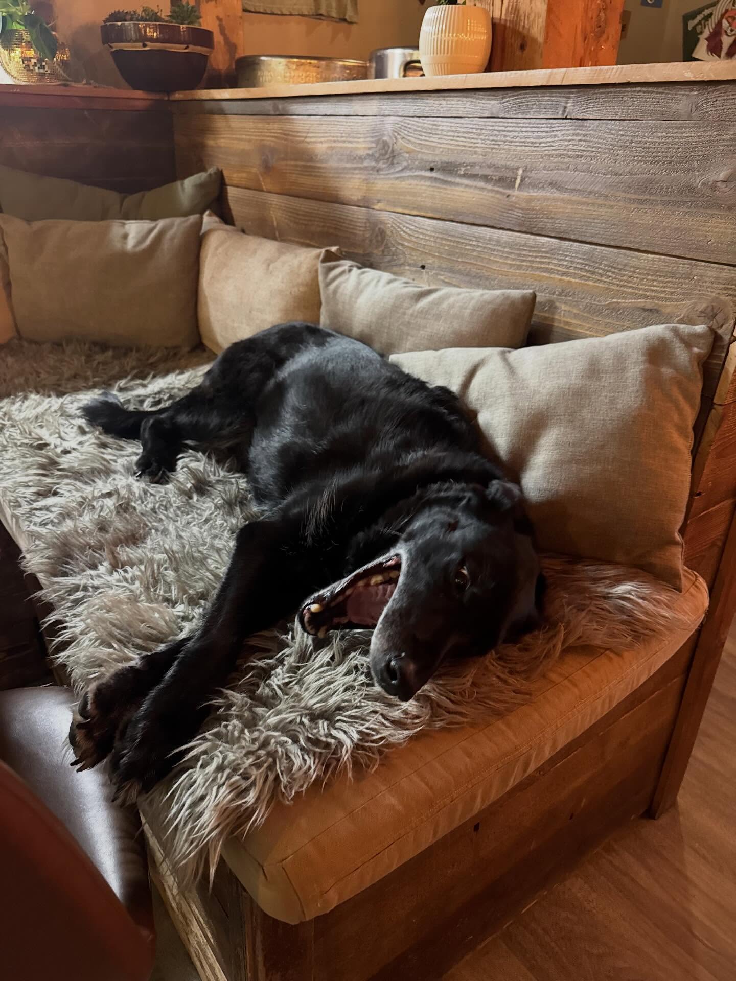 Bushel & Bee Taproom Leavenworth