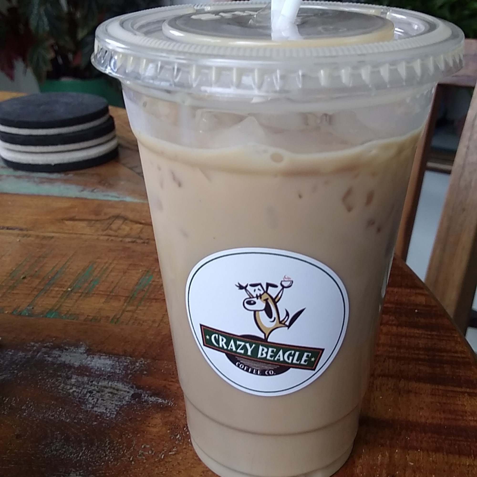 Crazy Beagle Liberty Lake