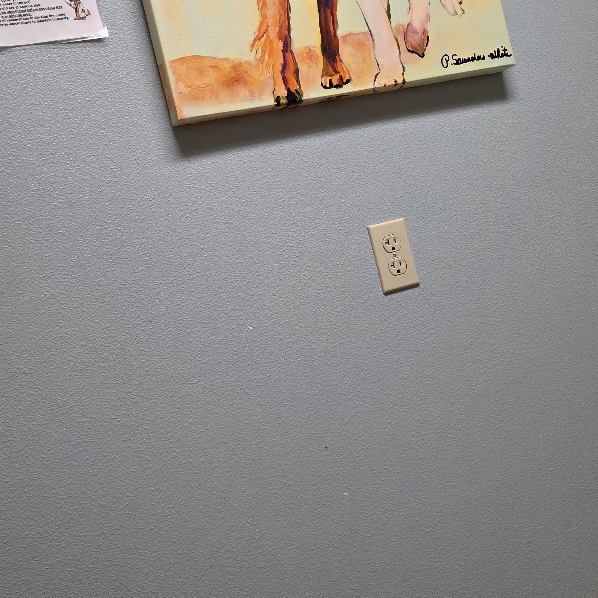 Legacy Animal Medical Center Liberty Lake