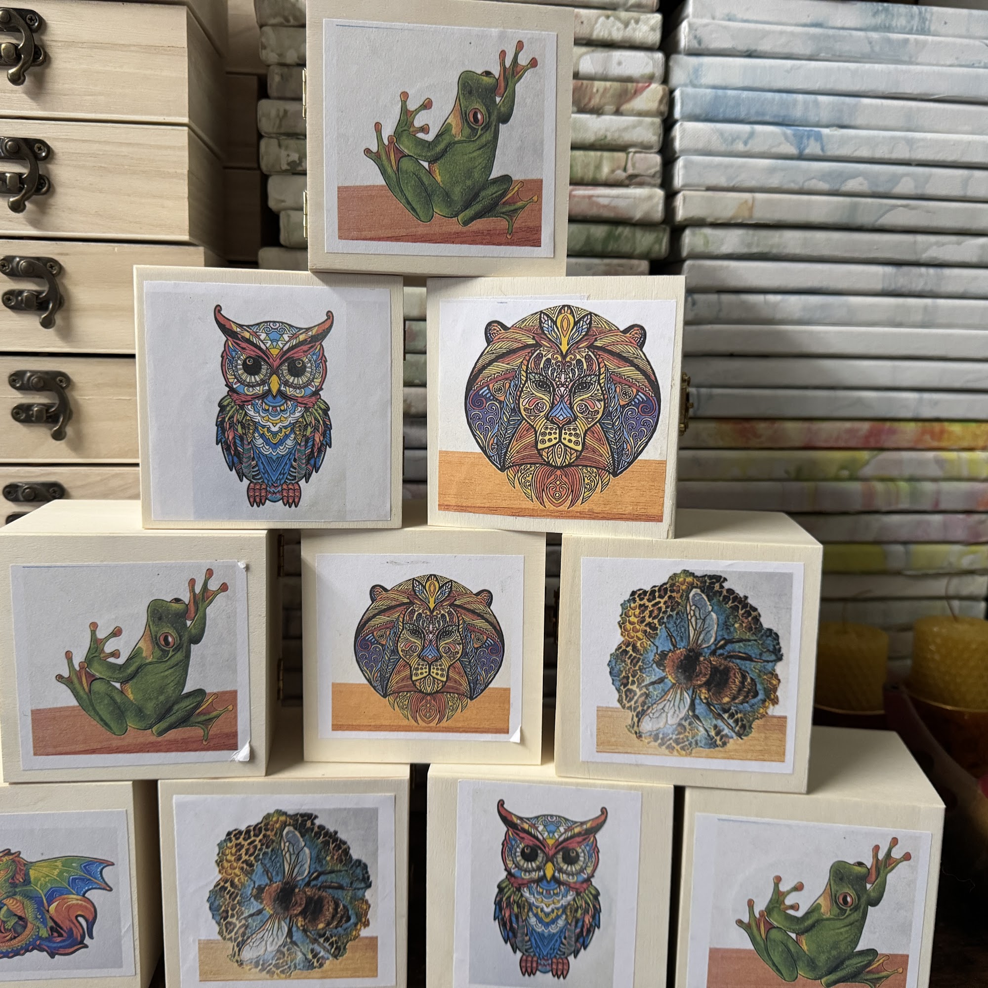 Transparent Owl Studio Long Beach