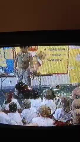 International K9 Search and Rescue Services Longview