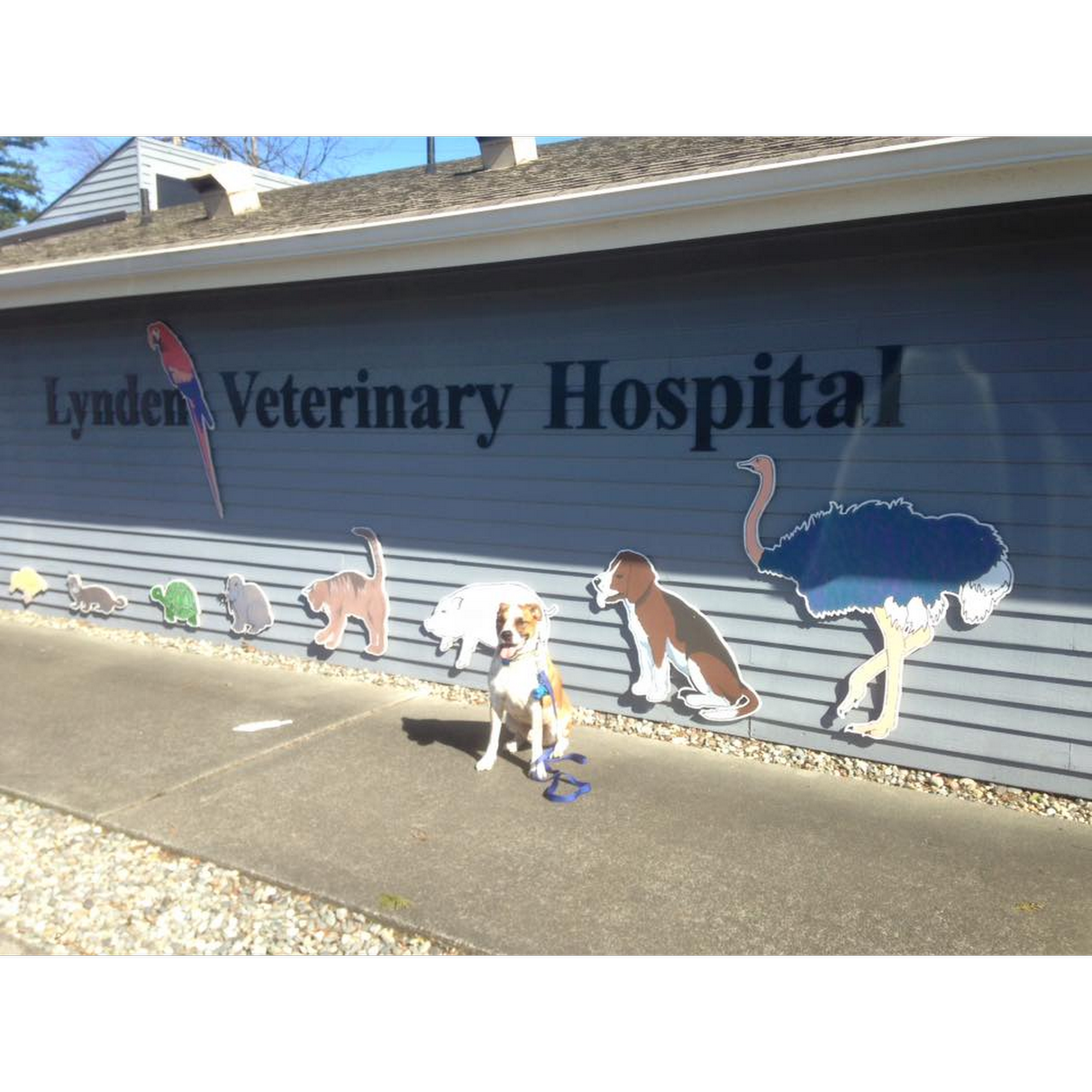 Lynden Veterinary Hospital Lynden
