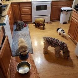 Photo credit: nextdoor