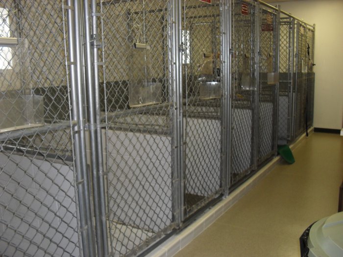 VCA Meadowdale Animal Hospital Lynnwood