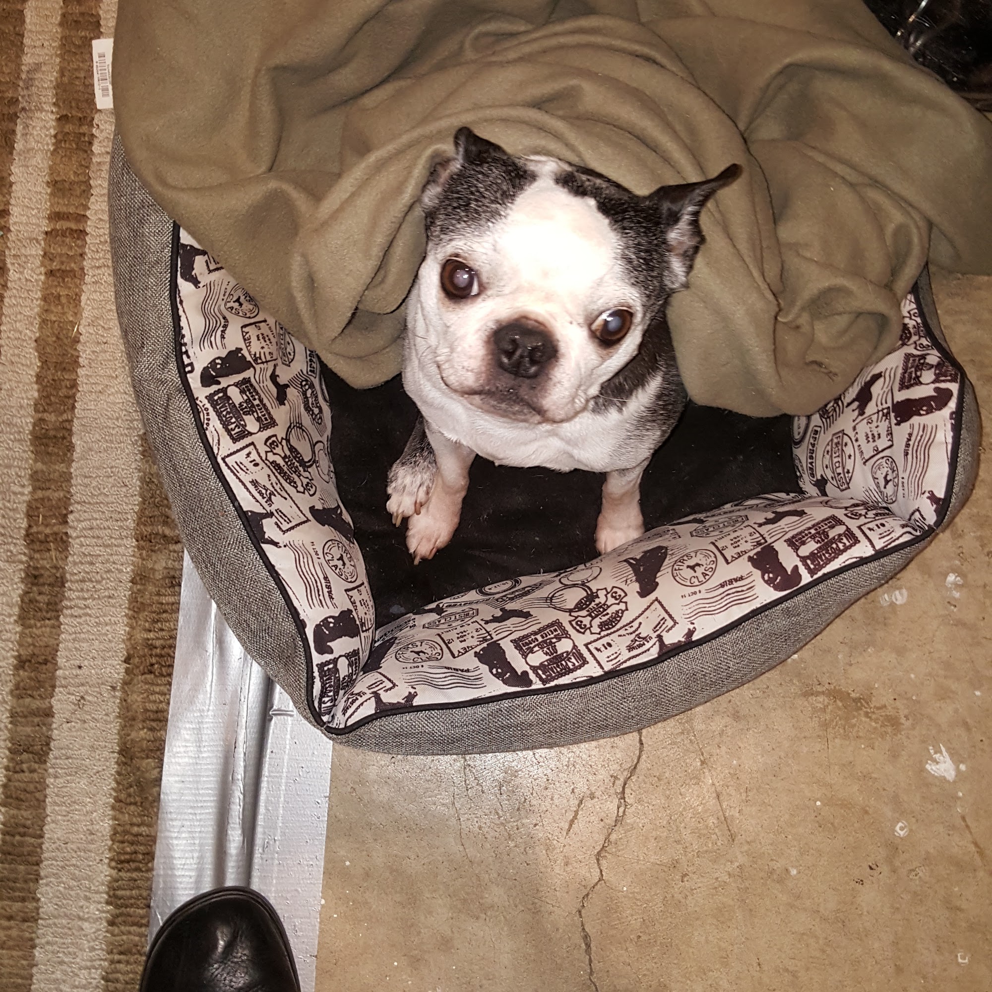 Sno-King Veterinary Clinic Lynnwood