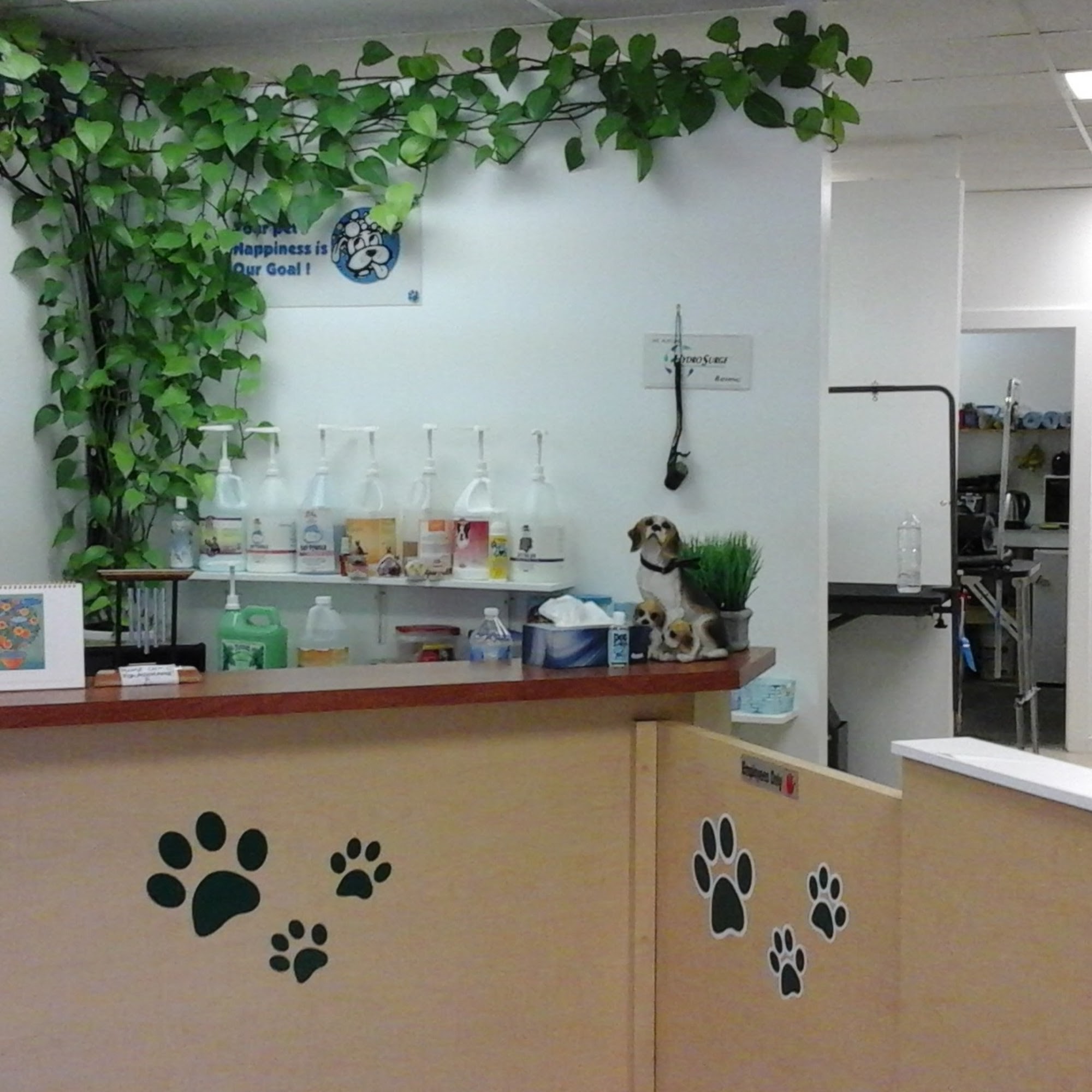 Hippie Hounds Grooming & Self Wash Lynnwood