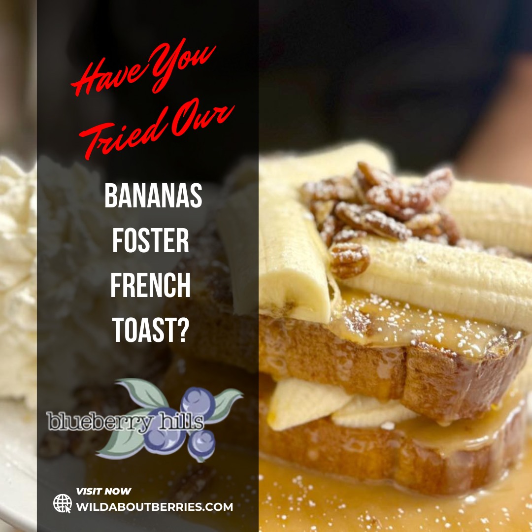 Blueberry Hills Farm Manson