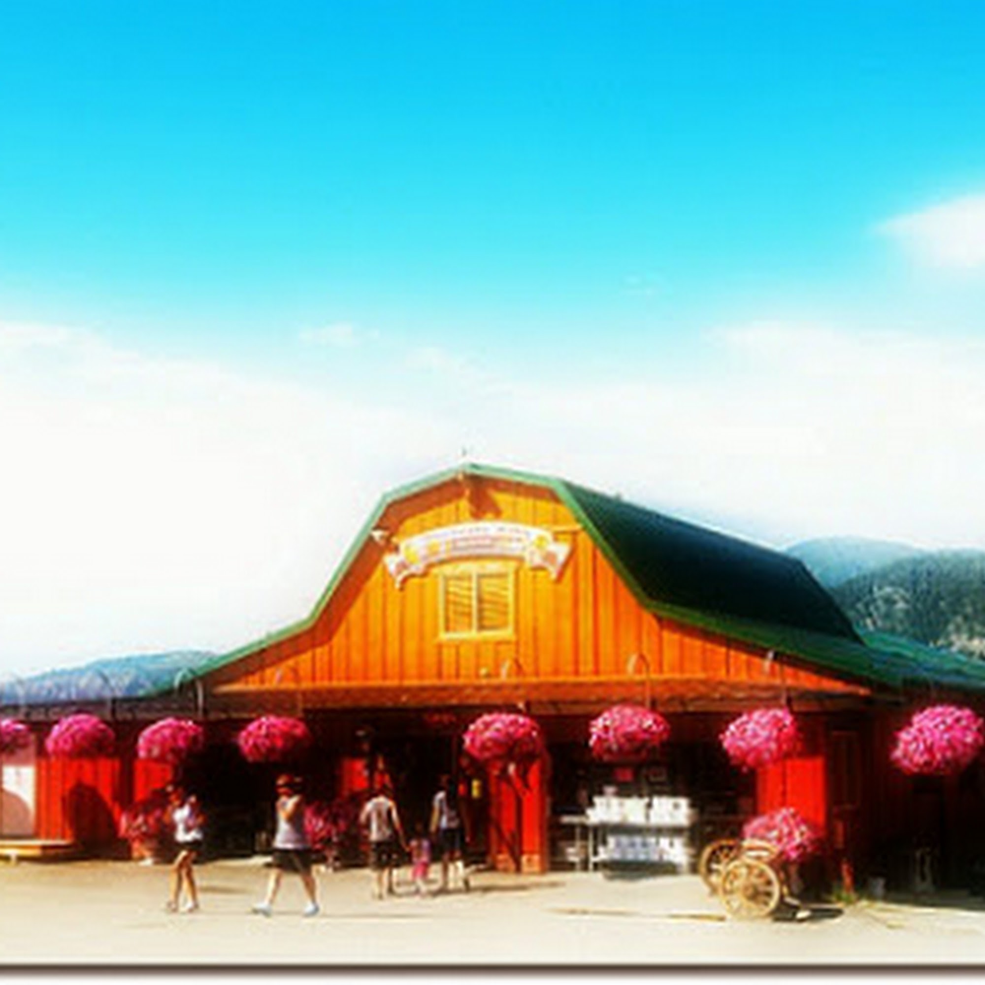 Blueberry Hills Farm Manson