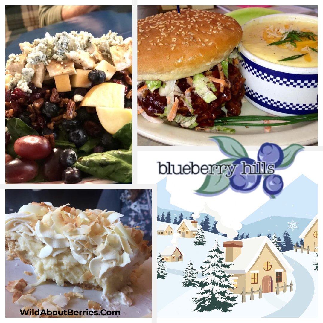 Blueberry Hills Farm Manson