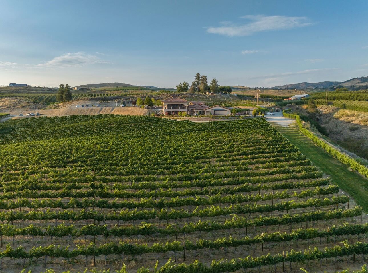 Benson Vineyards Estate Winery Manson