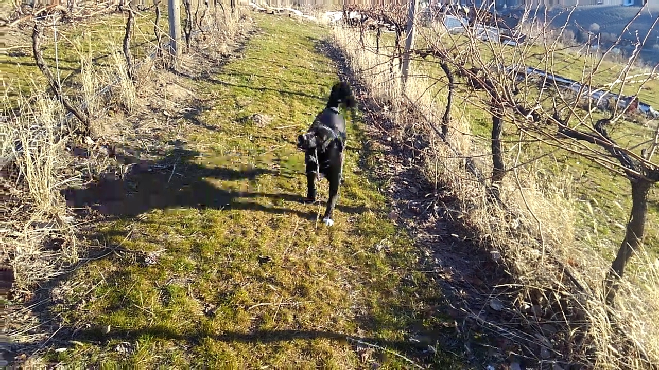 Four Lakes Winery Menu