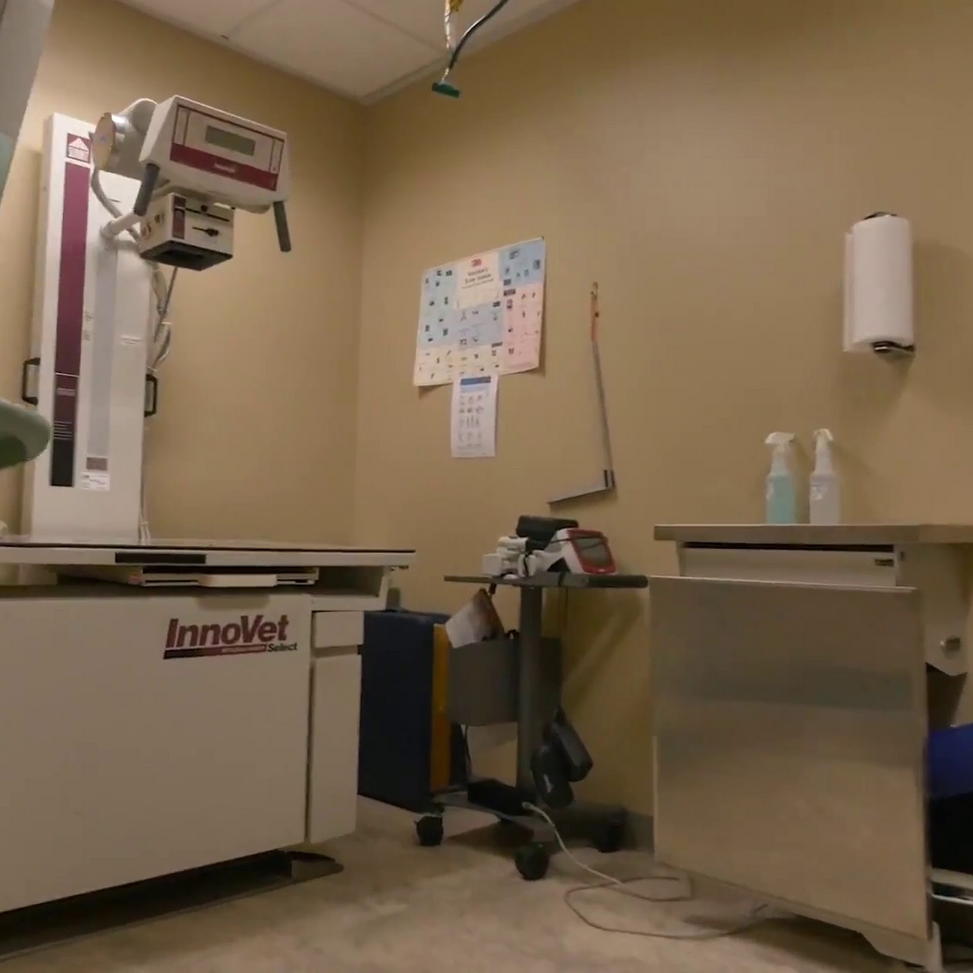 Wilderness Animal Hospital Maple Valley