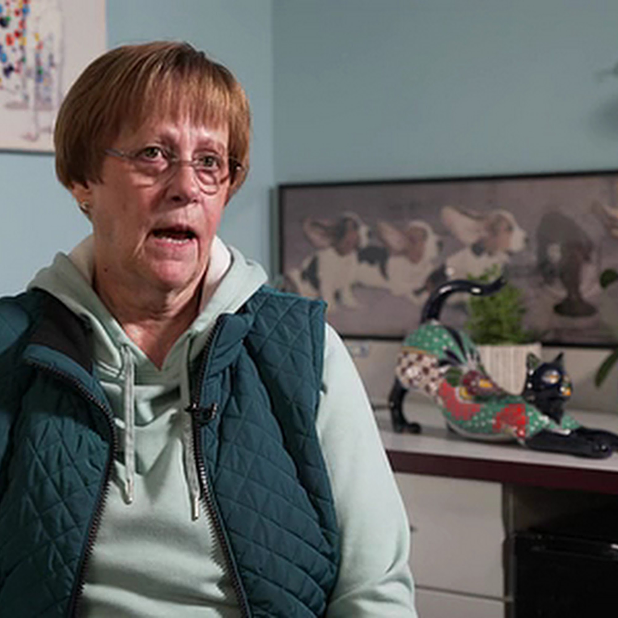 Animal Hospital of Maple Valley Maple Valley