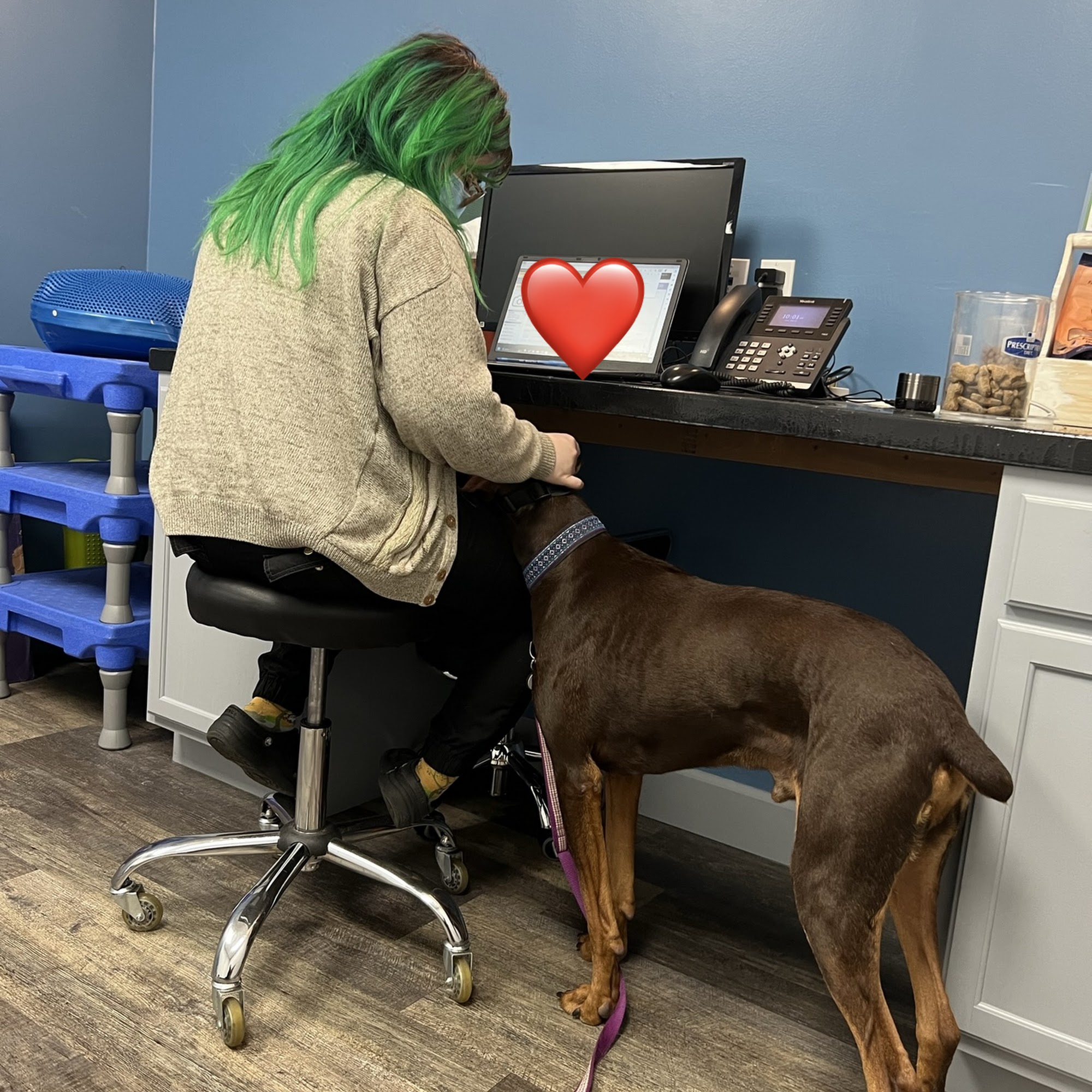 Mercer Island Veterinary Clinic Mercer Island