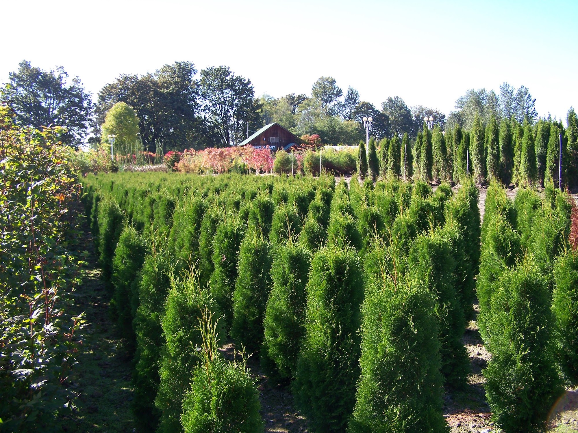 West Coast Nursery Monroe