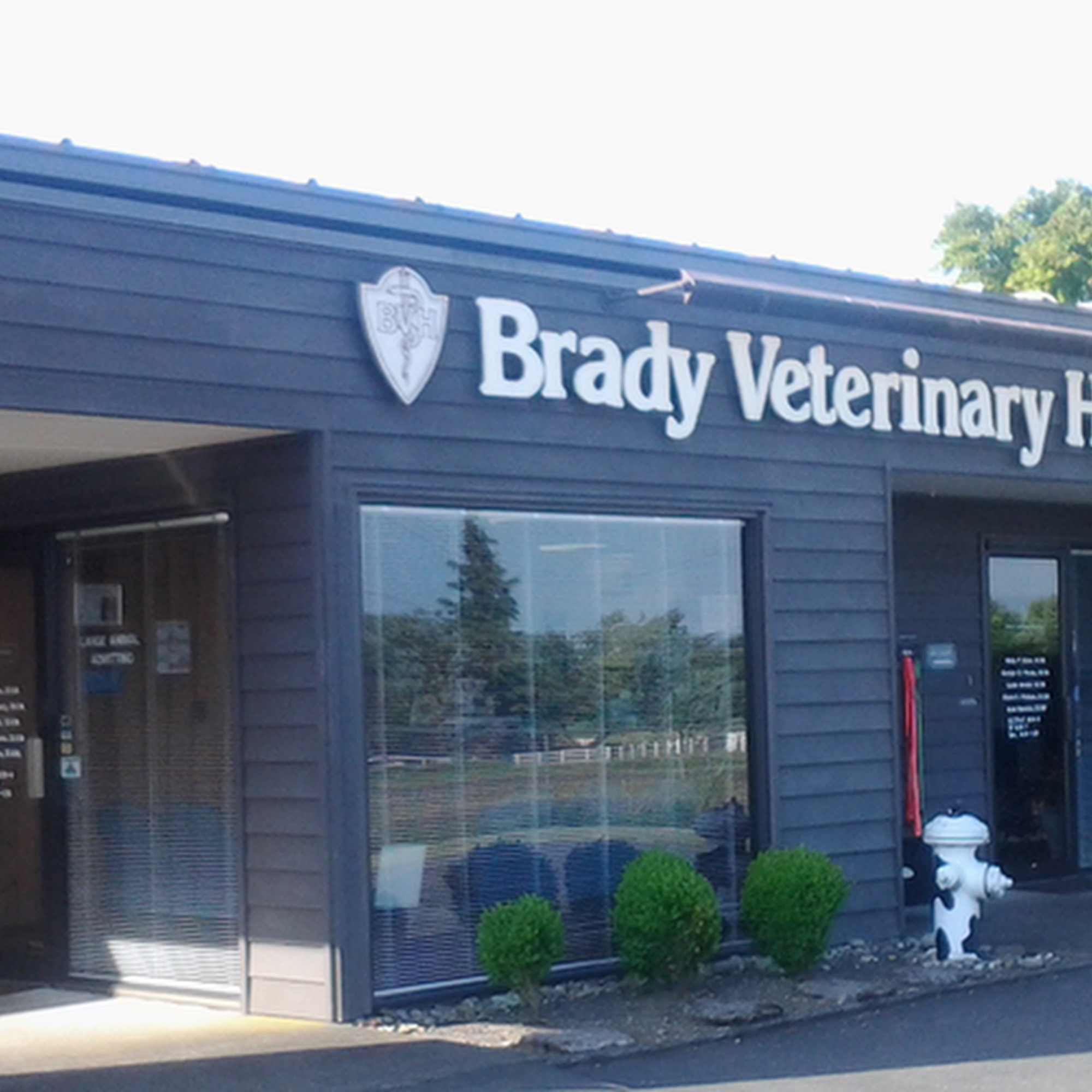 Brady Veterinary Hospital Montesano