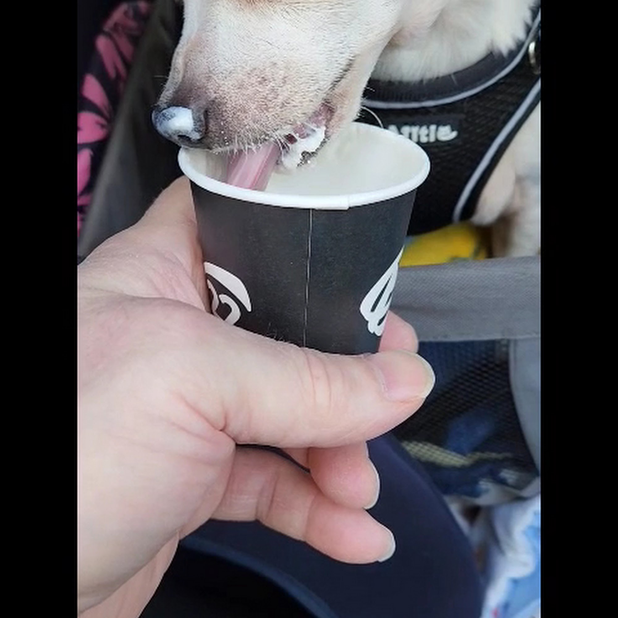 Monster's Mochas Montesano