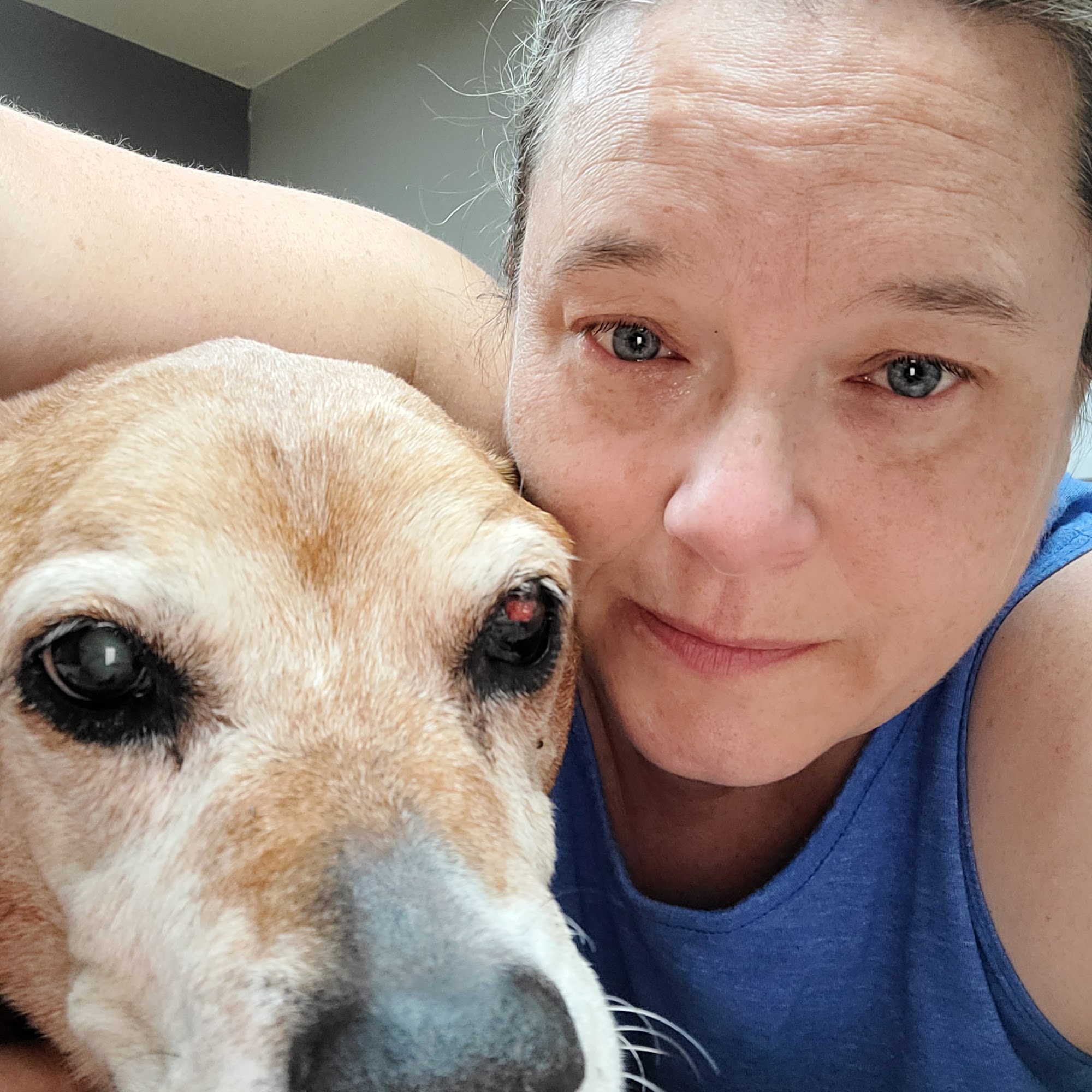 Broadway Animal Hospital Moses Lake