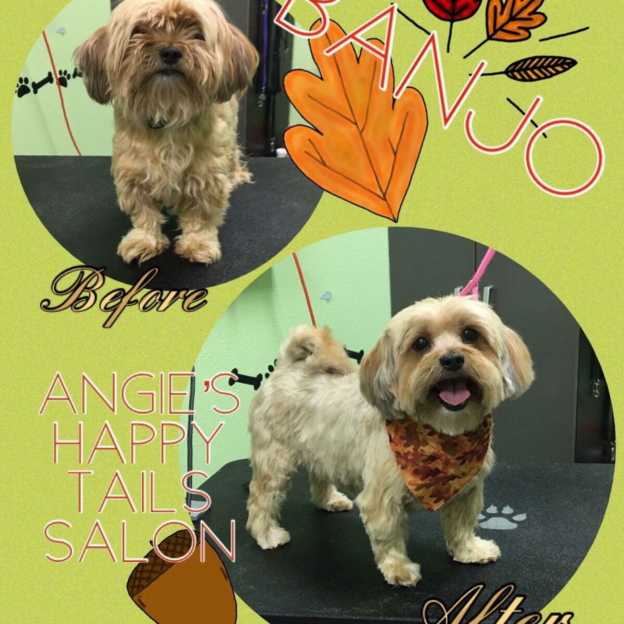 Angie’s Happy Tails Salon Moses Lake