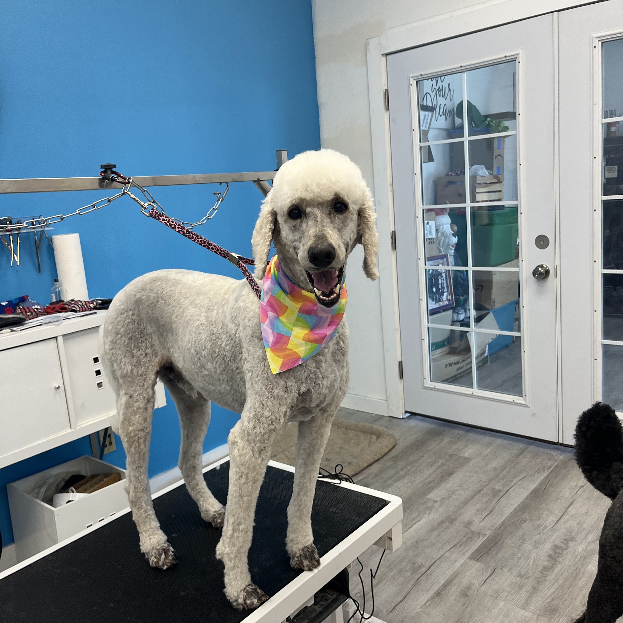 Bark Avenue - Moses Lake Moses Lake