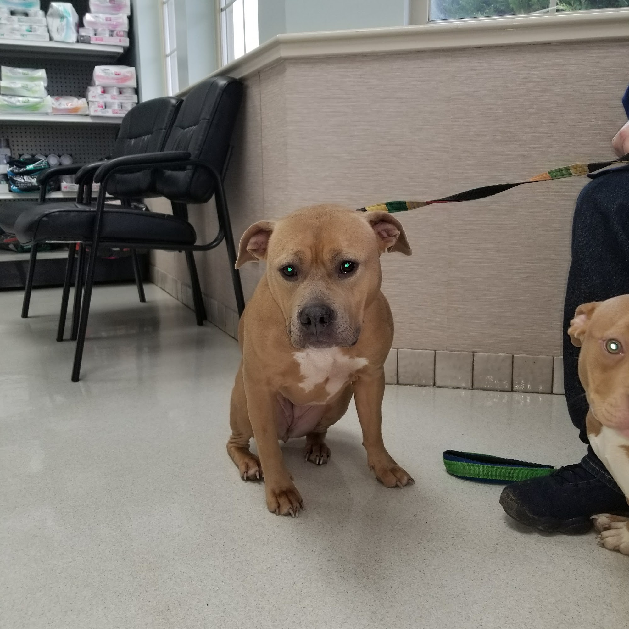 Parker Way Veterinary Clinic Mount Vernon