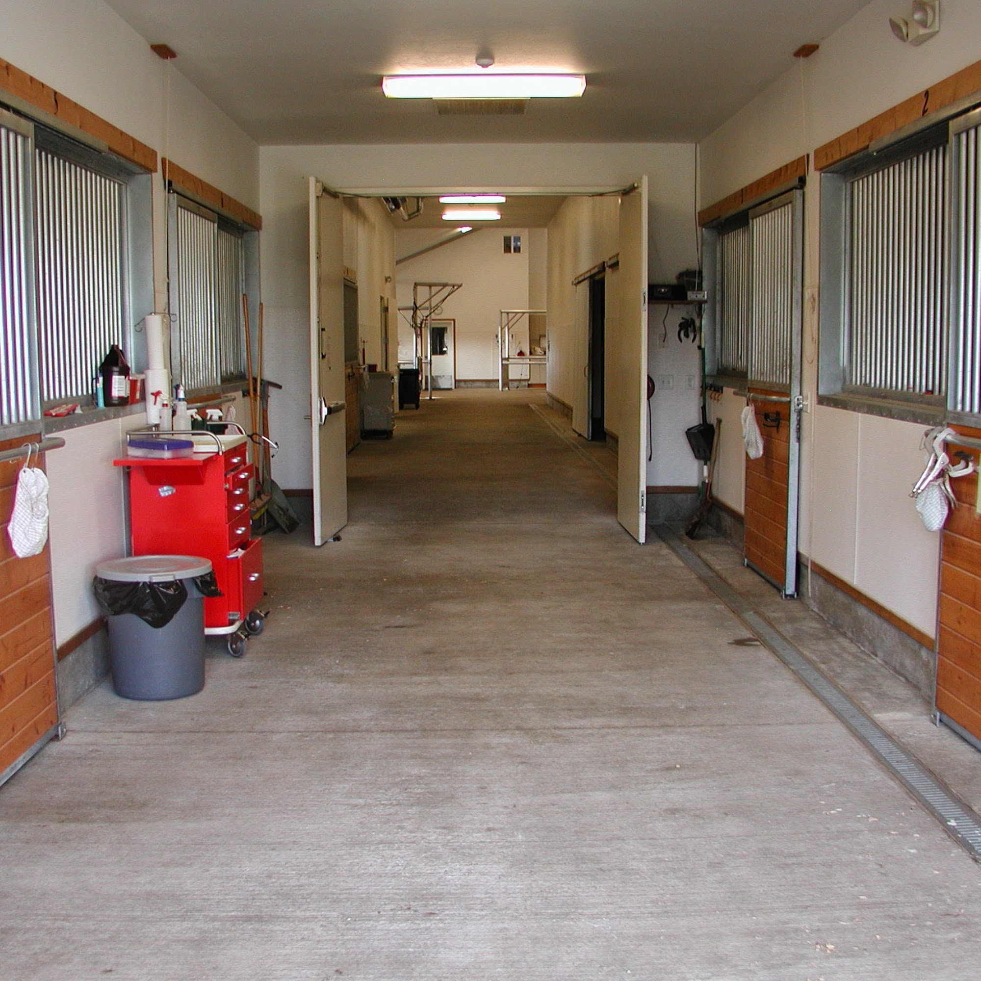 Northwest Veterinary Clinic Mount Vernon Mount Vernon