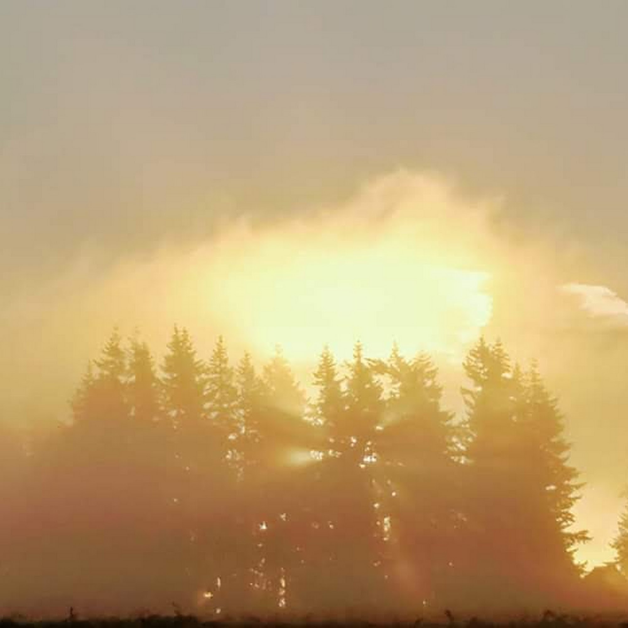 MistyDawn Carlson LMT 205 Stewart Rd Suite110-4, Mount Vernon Washington 98273