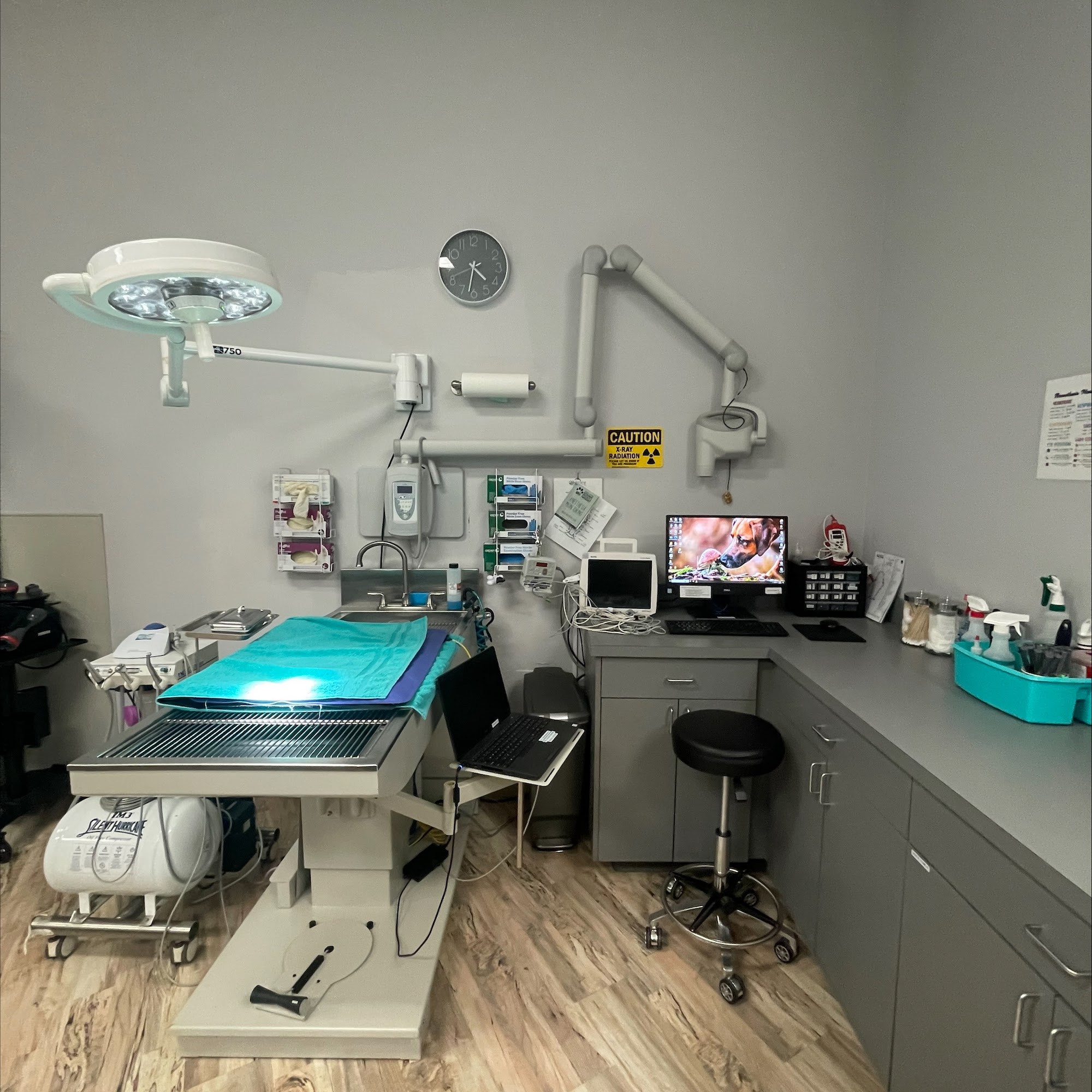 Brier Veterinary Hospital Mountlake Terrace