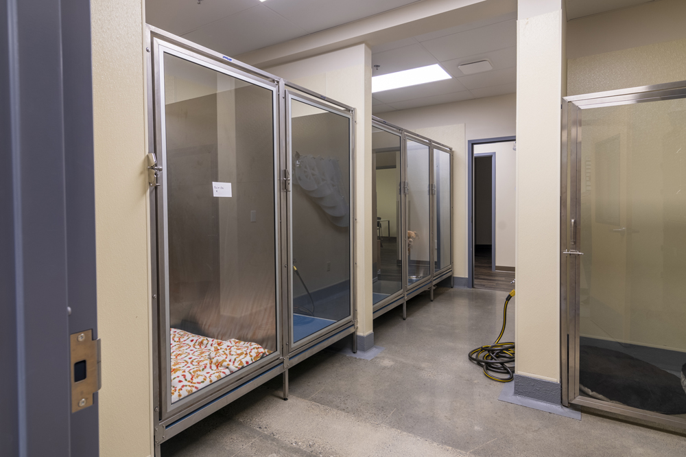 Animal Vision Center Mountlake Terrace