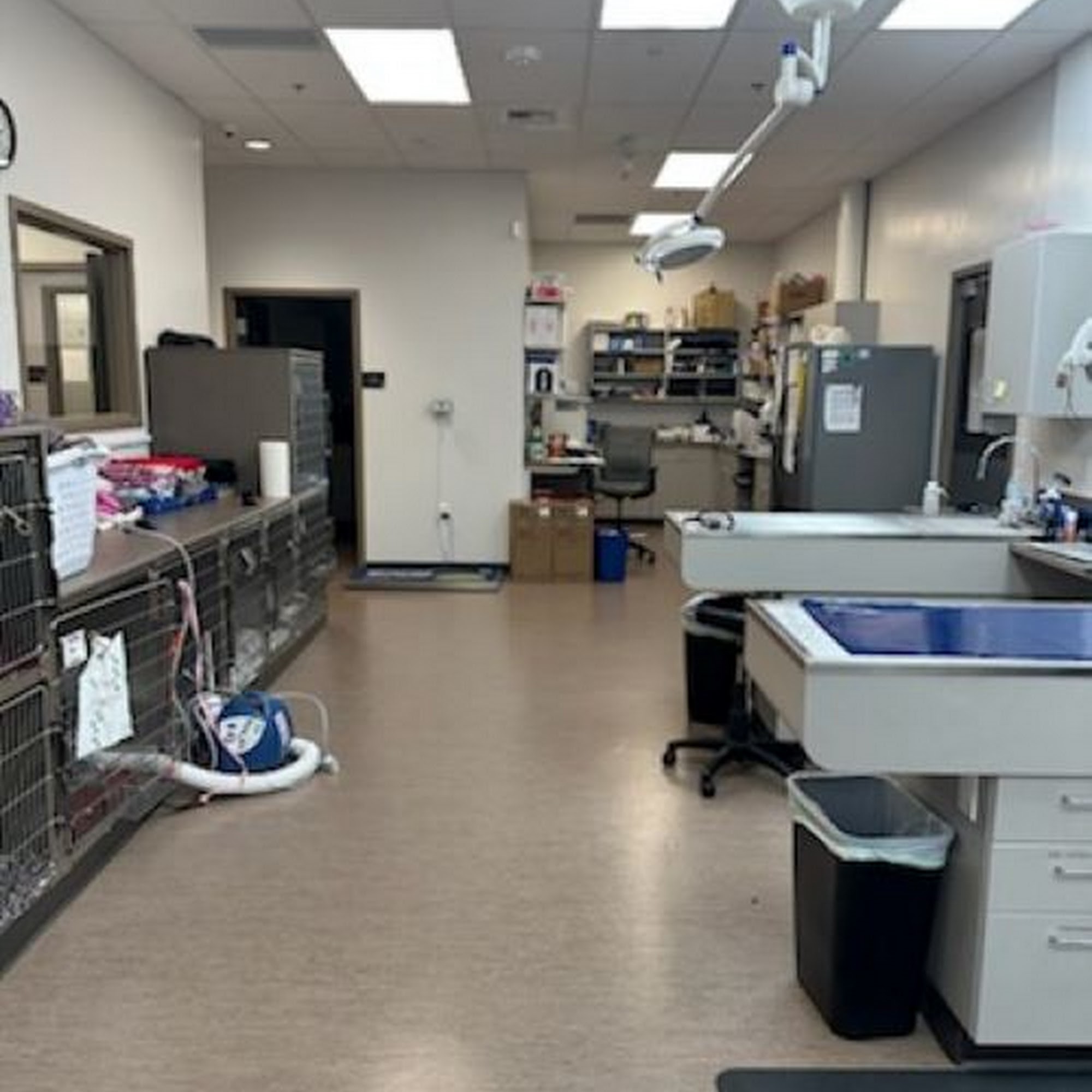 Mukilteo Veterinary Hospital Mukilteo