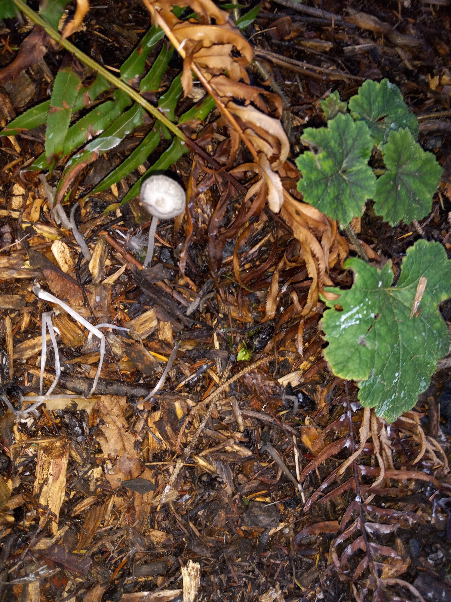 Snoqualmie Valley Honey Farm North Bend