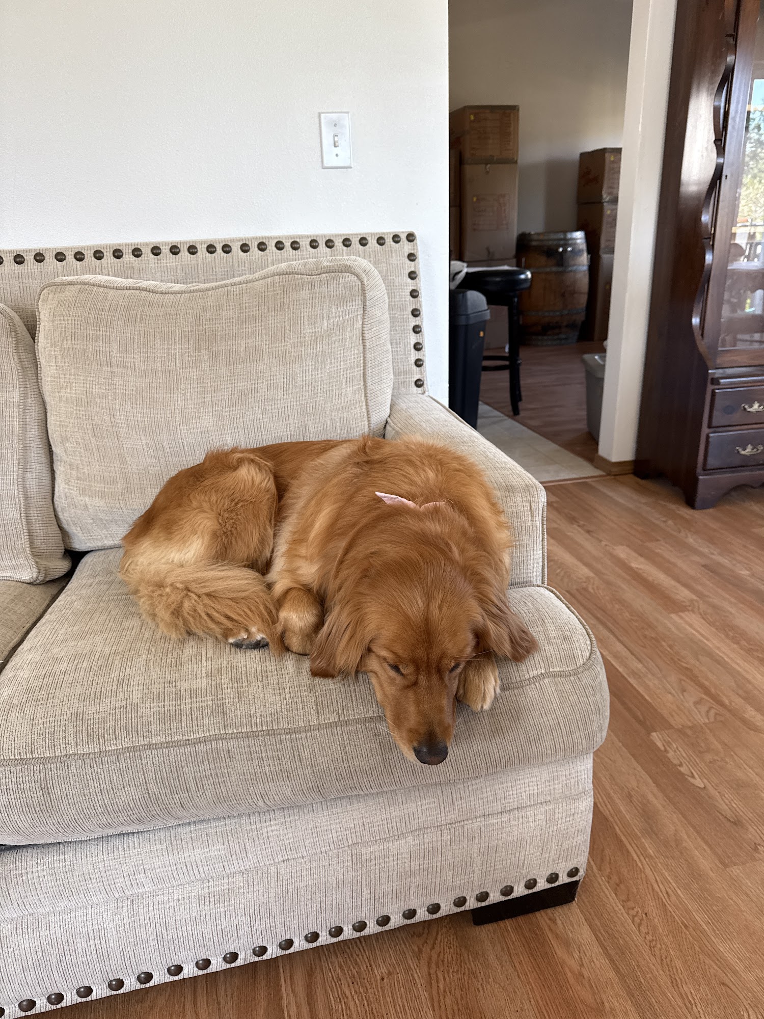 Golden Services LLC Oak Harbor