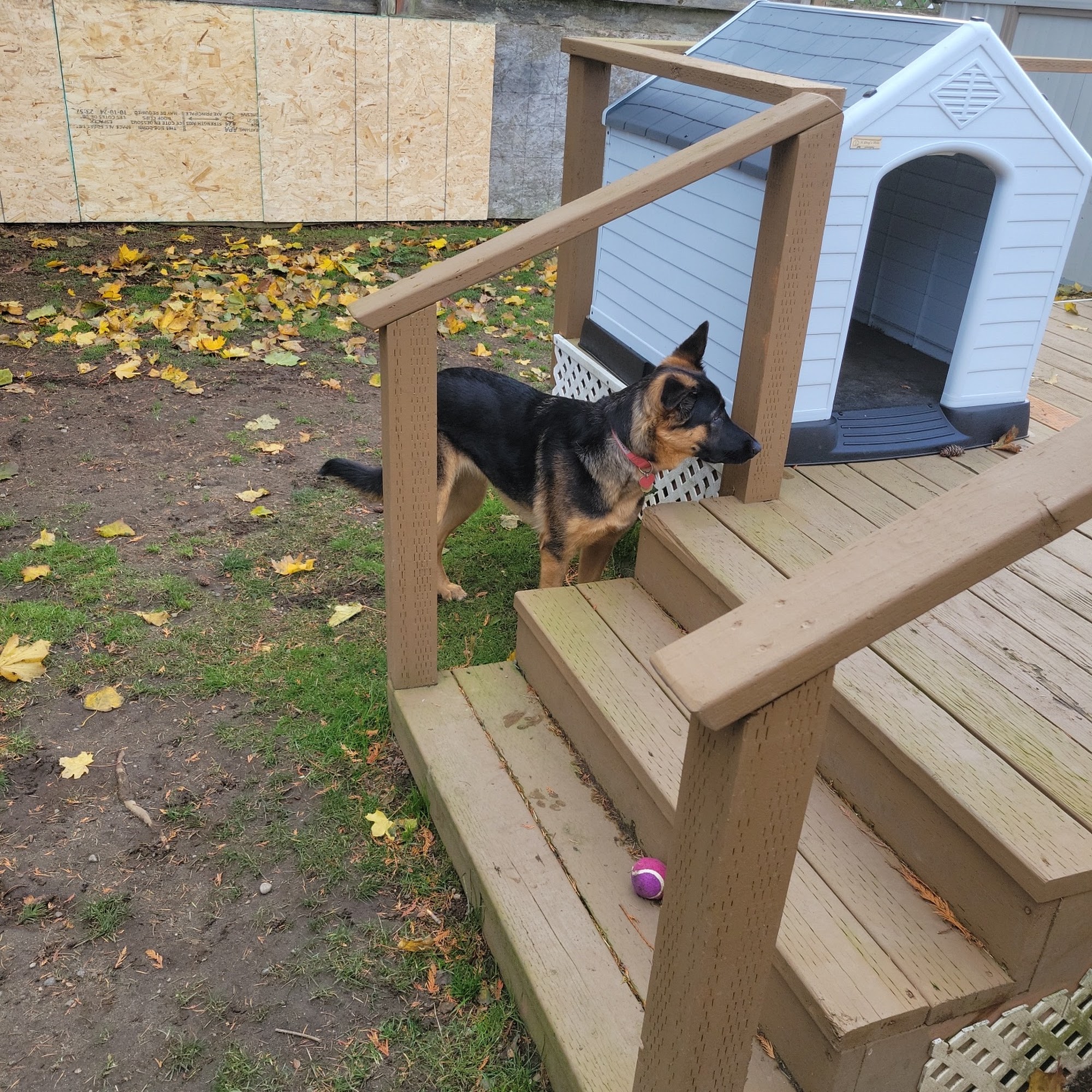 Vets Animal Hospital Oak Harbor