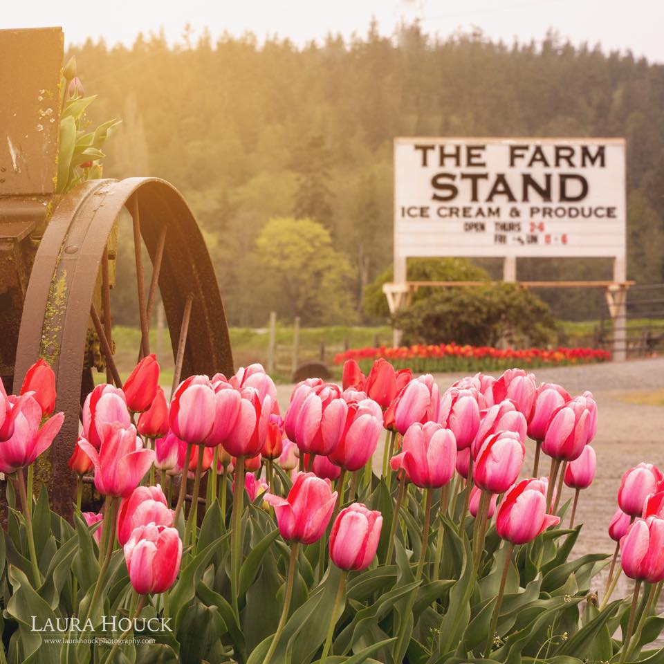 K&R Farms Stand Menu