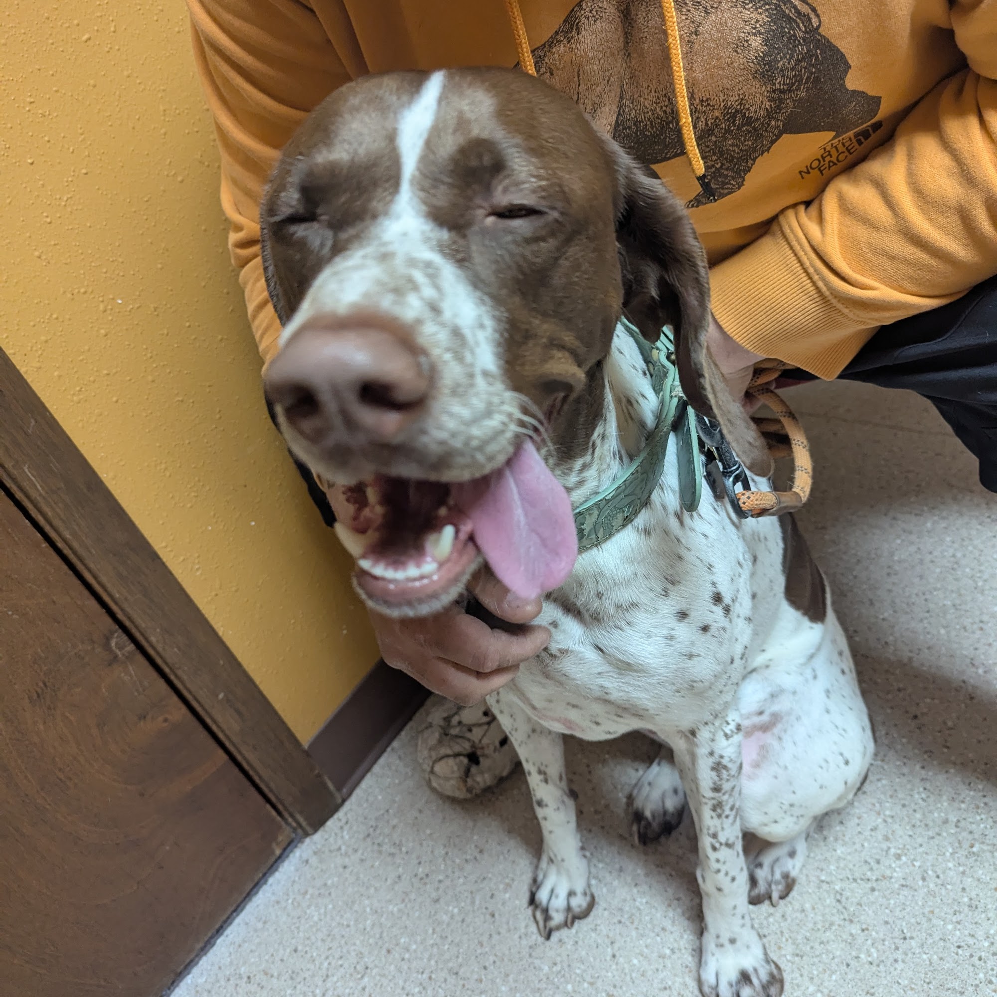 Okanogan Valley Veterinary Clinic Okanogan