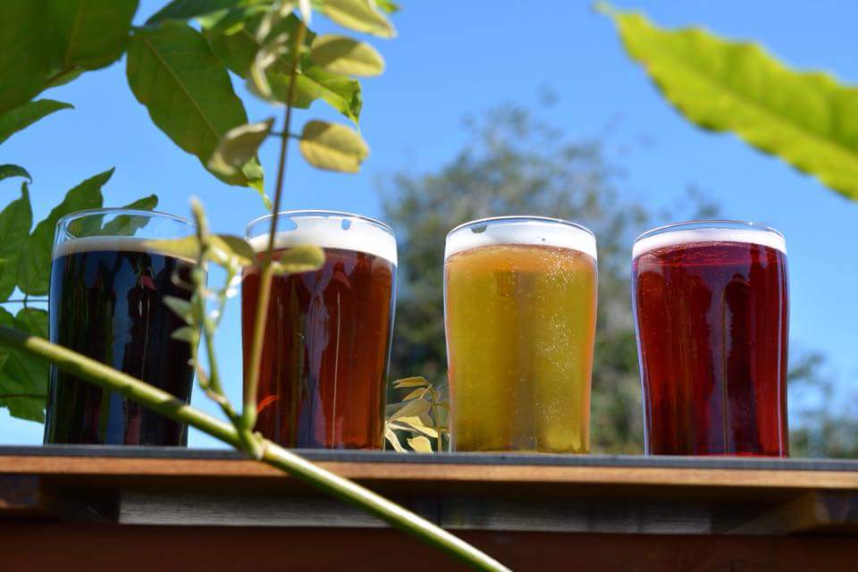 Northwest Beerwerks Olympia