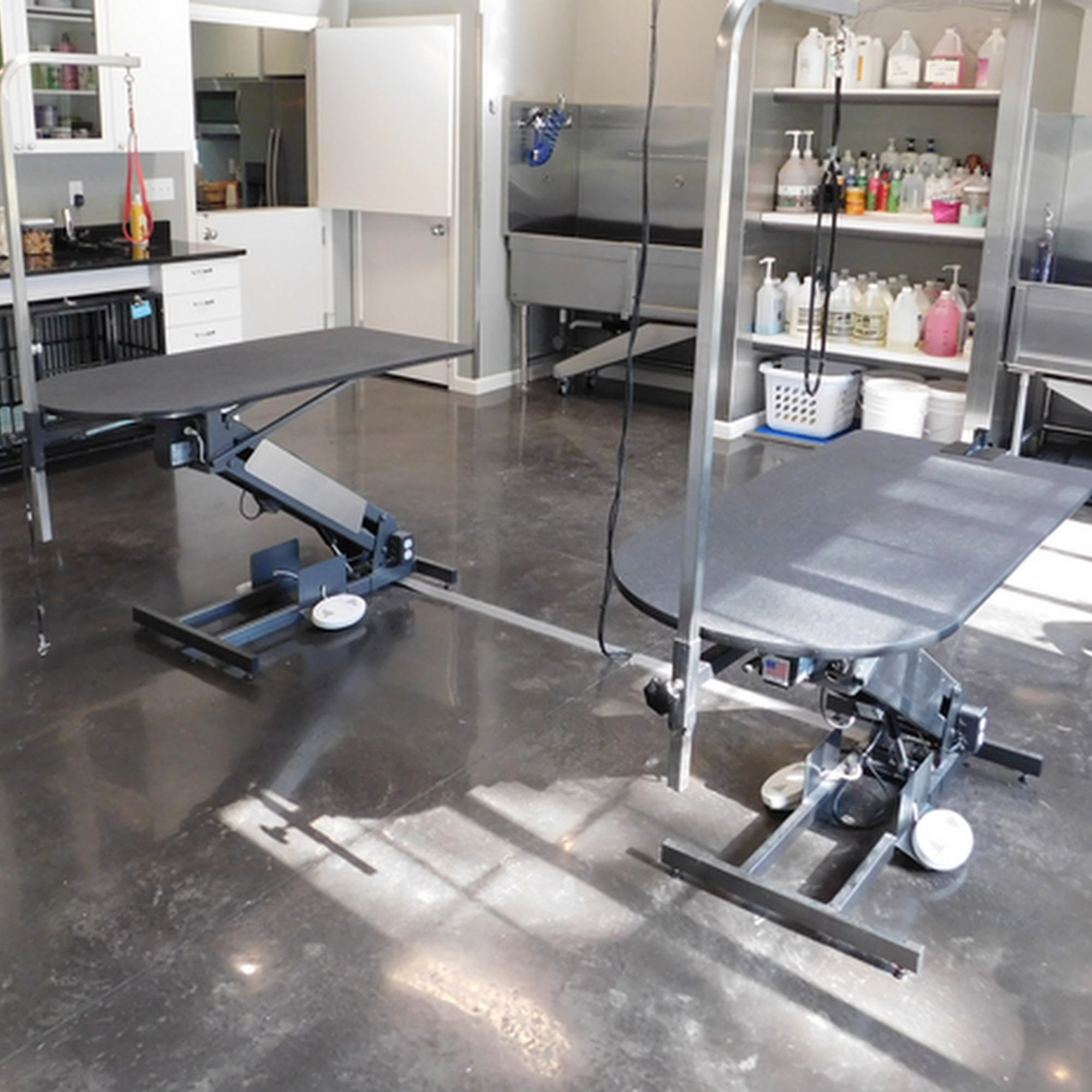 Friendly Grove Resort & Spa For Dogs Olympia